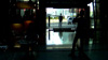 Standard IP Camera Standard IP Camera