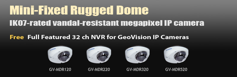 Mini-Fixed Rugged Dome IK07-rated vandal-resistant megapixel IP camera