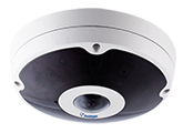 IP Cameras